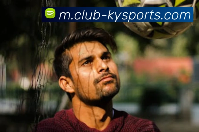 体育下注平台生态图